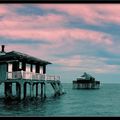 Les cabanes "tchanquées" du Bassin d'Arcachon