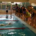 NATATION district 18 février 2015 résultats