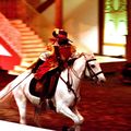 Historique sur les Mousquetaires