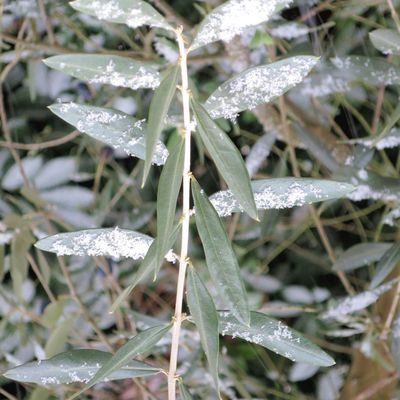 Quelques photos de "couvre-feu" (Michel G.)