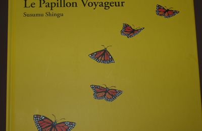 A la découverte des papillons ( présentation )