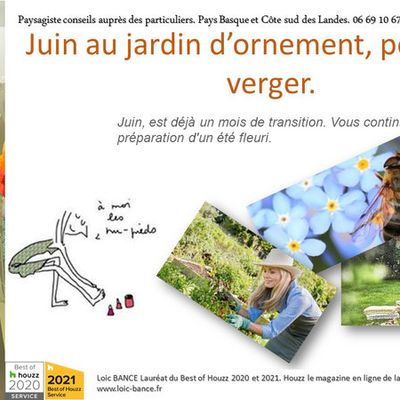 Les travaux de juin au jardin d'ornement potager et fruitier par Paysagiste Pays Basque Paysagiste Landes
