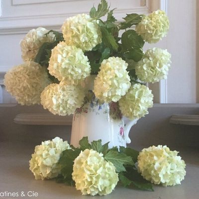 Proses, poses et Pause ...