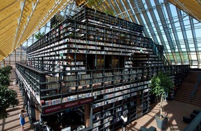 Une montagne de livres 