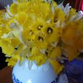 Bouquet de jonquilles