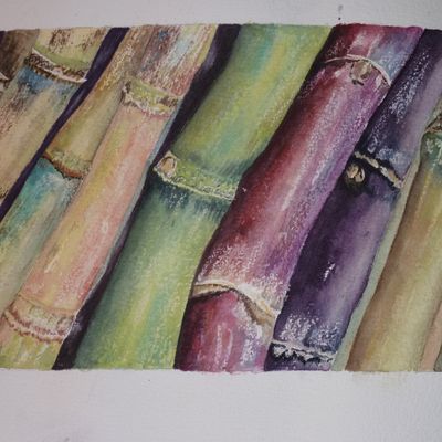 2011 République dominicaine