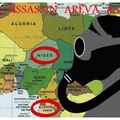 STOP AREVA : Contamination à l'Uranium par Areva en Afrique