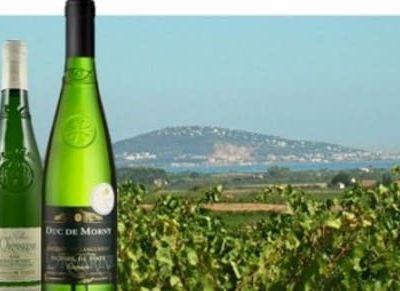 Le Picpoul de Pinet. La certification. En 1773.