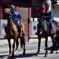 GARDES ÉQUESTRES : A CHEVAL SUR LE CONFINEMENT.