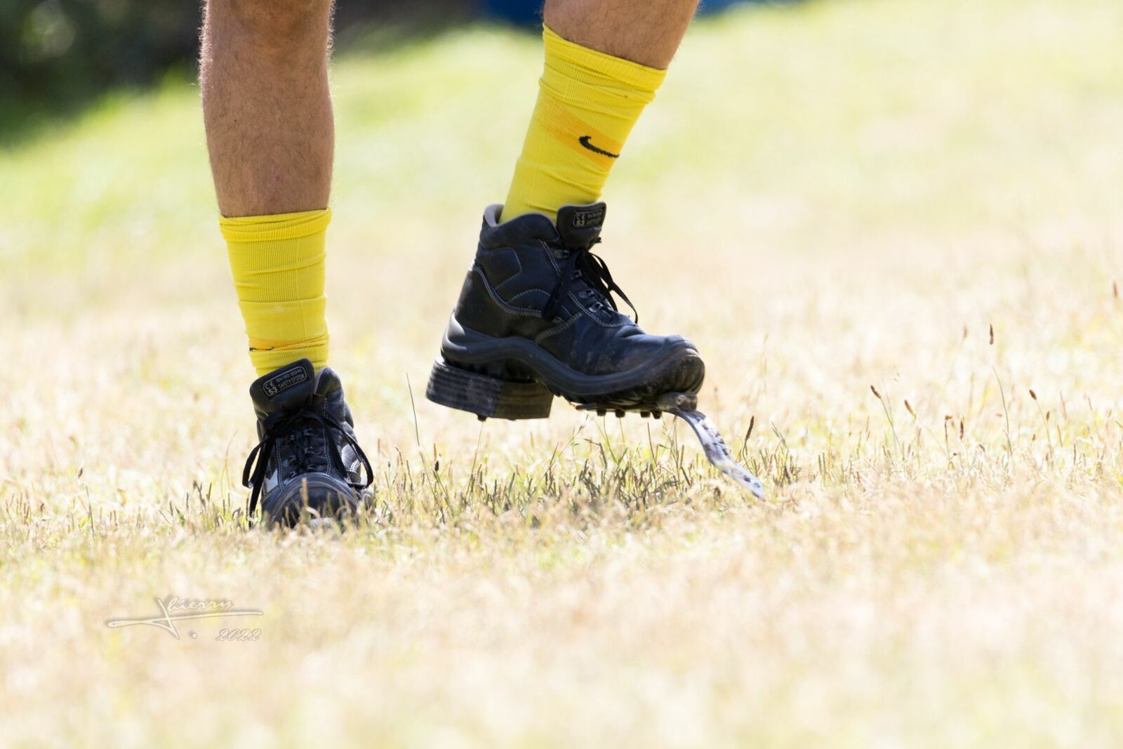 2206-110691_Highland games