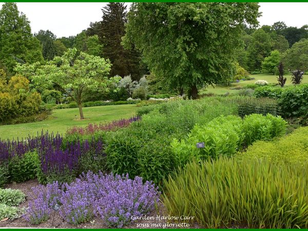 Les jardins de Harlow Carr; YORKSHIRE, Angleterre - 1ère partie/2