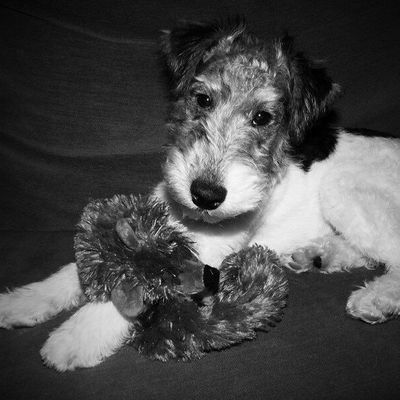 Bonjour à toutes, Je voulais vous montrer celui