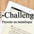 E-Challenge