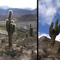 Petit WE dans la Quebrada de Humahuaca