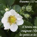 Psaumes 115 verset 13