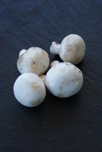 Champignons de Paris