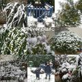 Hiver blanc