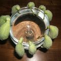 Plante ou petite bête ?