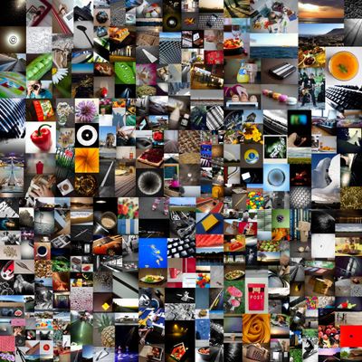 Projet 366 - Un an de photo