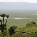 Tanzanie - Parc National du cratère de N'Gorongoro - partie 1.