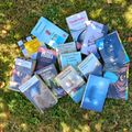 Acquisitions estivales dans la poche