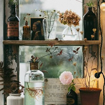 Poésie de cette mise en scène végétale. Une