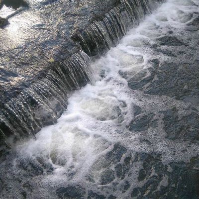 une nature bouillonnante 