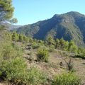 Randonnée Dans la Forêt (GUENZET 2010)