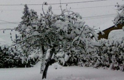 première vraie neige