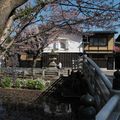 Retour en matsuri