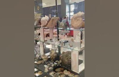 bourse minéraux Dourdan, mineral fair Dourdan, mineralenbeurs Dourdan