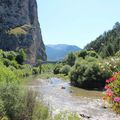 Dans les Alpes de Haute Provence