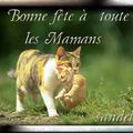 fete des mamans