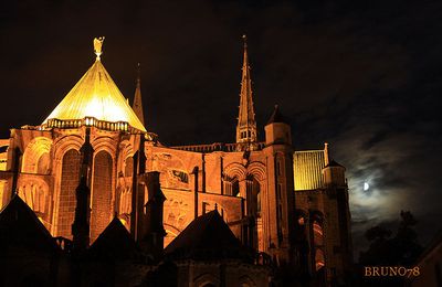 Chartres et ces lumières 2010