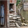 Guerre 1914-1918... Les Causes !