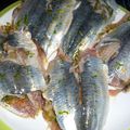 Sardines à la Chermoula