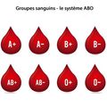 Les groupes sanguins