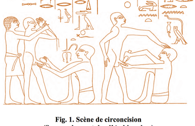 ANATOMIE - BASSIN - VIII - BASSIN HOMME - ATLAS 2 - CIRCONCISION