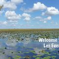 [Carnet de voyage] Welcome to Florida - Les Everglades