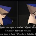 Origami Animaux Drôles -Pélican-