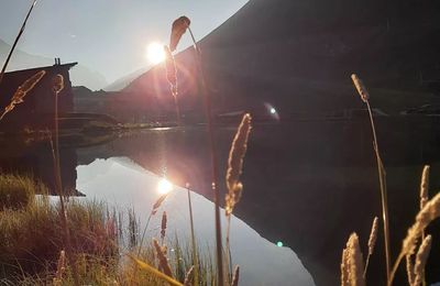 Soleil levant et herbes en joie ( du chef Custos)