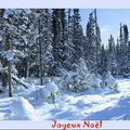 Joyeux Noël 