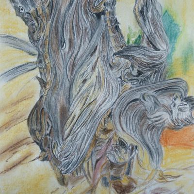 Souche d'arbre ( Pastel sec format 30x45)