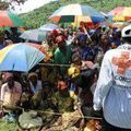 RDC: Kinshasa veut "détruire" la LRA, la Monuc condamne les massacres