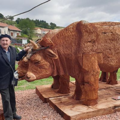 Les bœufs de Arcon 42370