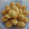 Madeleines 