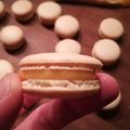 Macarons meringue française