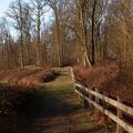 Bois de Maroeuil (Pas-de-Calais)