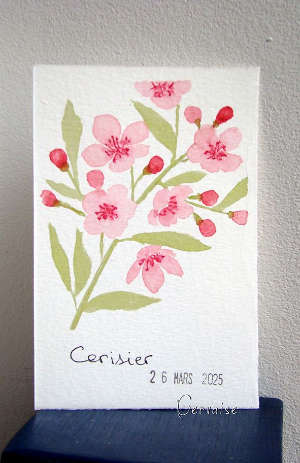 7 Cerisier