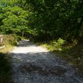 Promenons-nous dans les bois, il fera beau dimanche